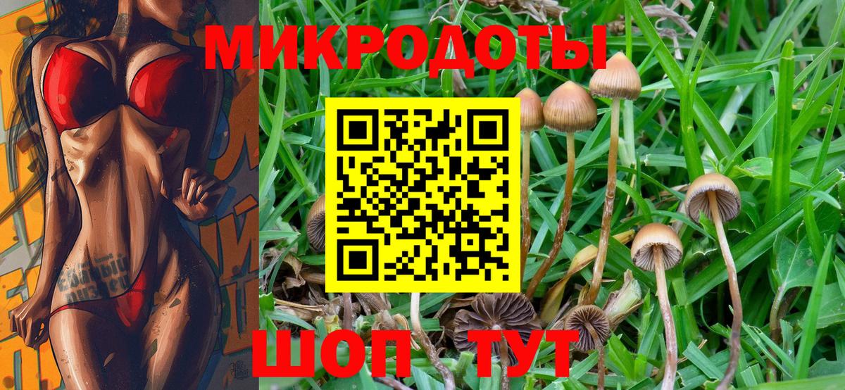 Галлюциногенные грибы Cubensis Переславль-Залесский