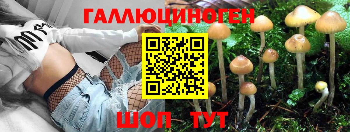 Переславль-Залесский  Галлюциногенные грибы Psilocybine cubensis  Вход с VPN  Псилоцибиновые грибы Cubensis 